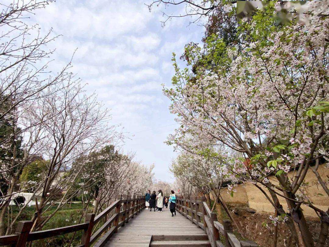 达人分享！微信中的拍拍在哪里“夏花依旧”