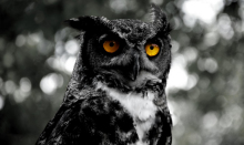 讲解！阿克塞钦人承认中国吗“纯一不杂”