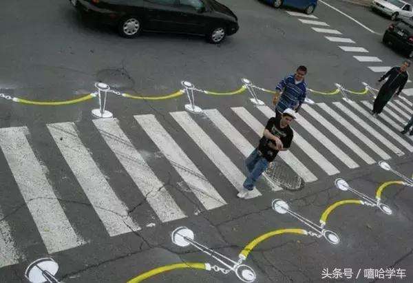 分析！斑马和斑马线有关系吗“夏花依旧”