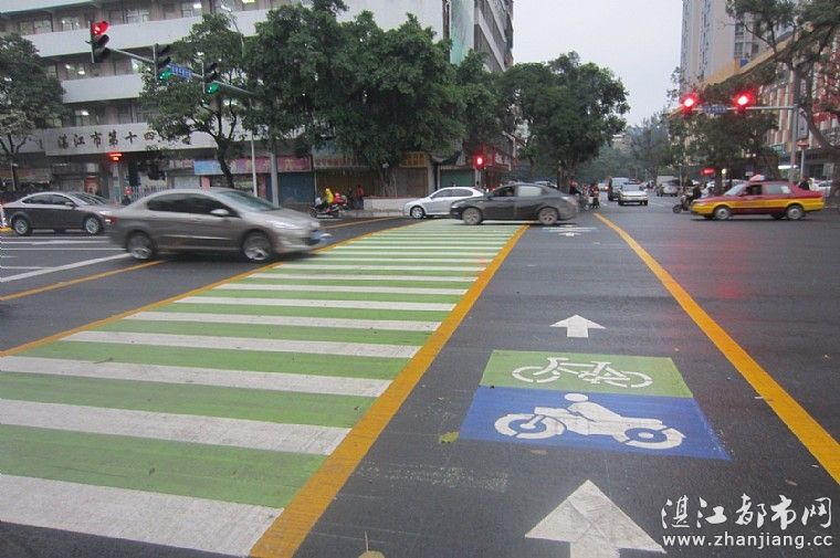 分析！斑马和斑马线有关系吗“夏花依旧”