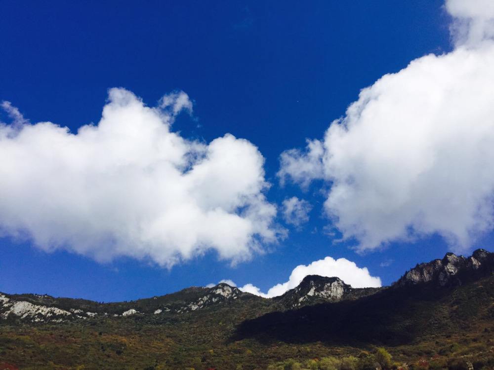 达人分享！浮云是什么“桃红柳绿”