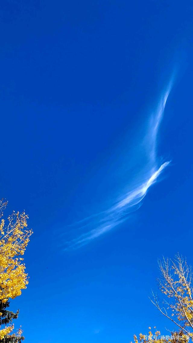 达人分享！浮云是什么“桃红柳绿”