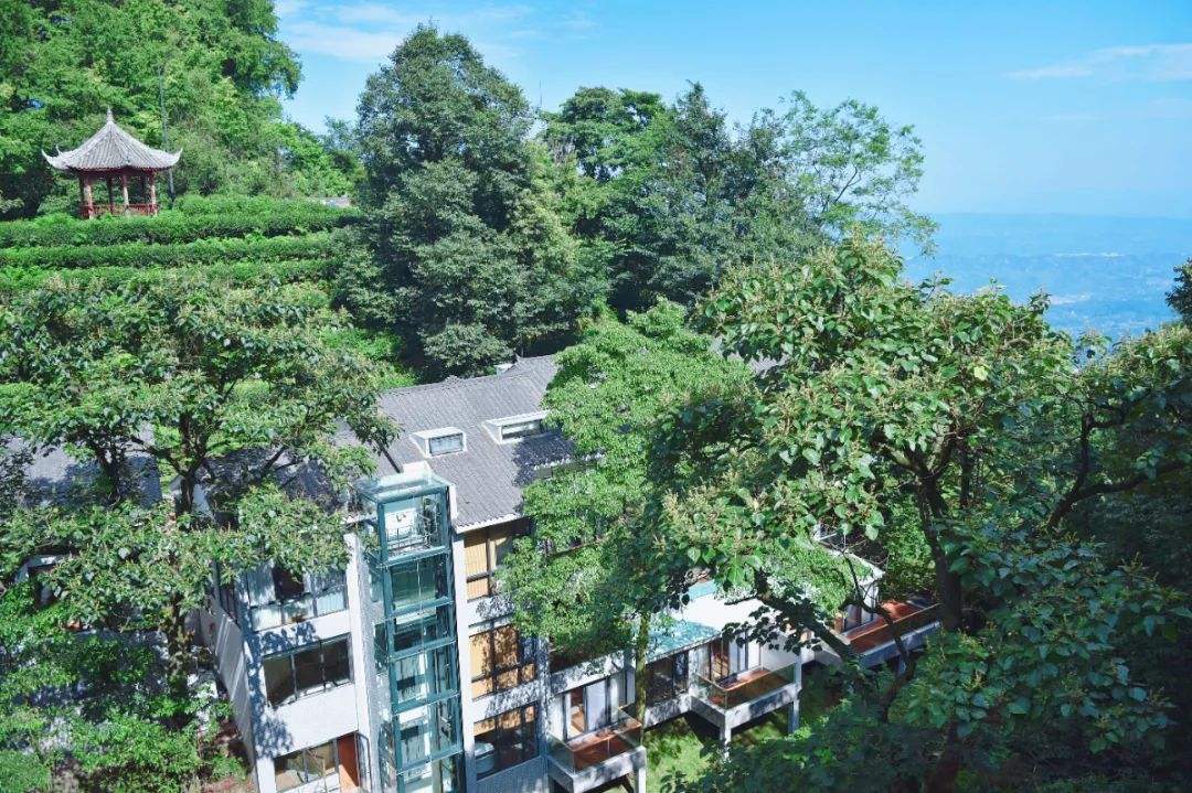 达人分享！成都拥堵情况“空谷幽兰”