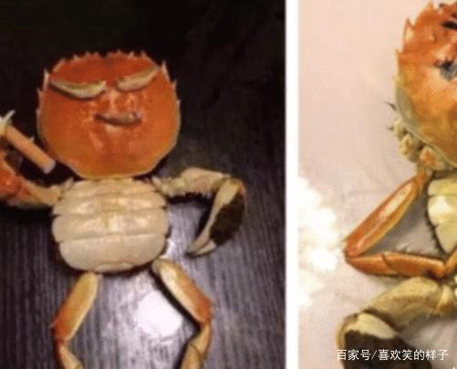 达人分享！螃蟹煮多久“典则俊雅”