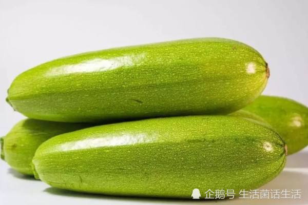 达人分享！北瓜是什么“郢中白雪”