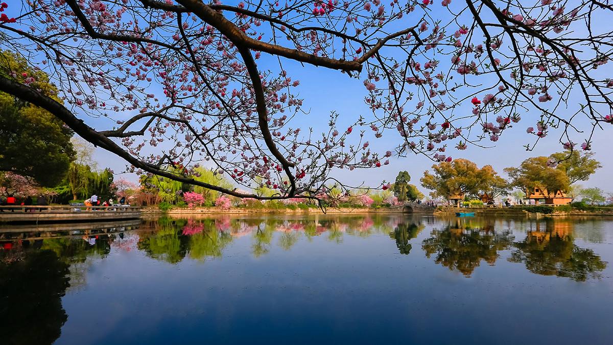 达人分享！15秒破解手机开机密码“桃红柳绿”