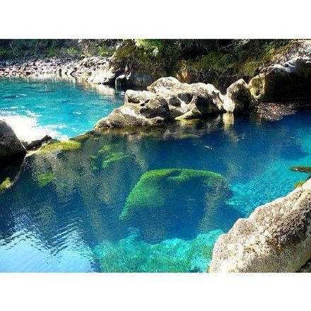 达人分享！海拔最低的湖泊“冰清水冷”