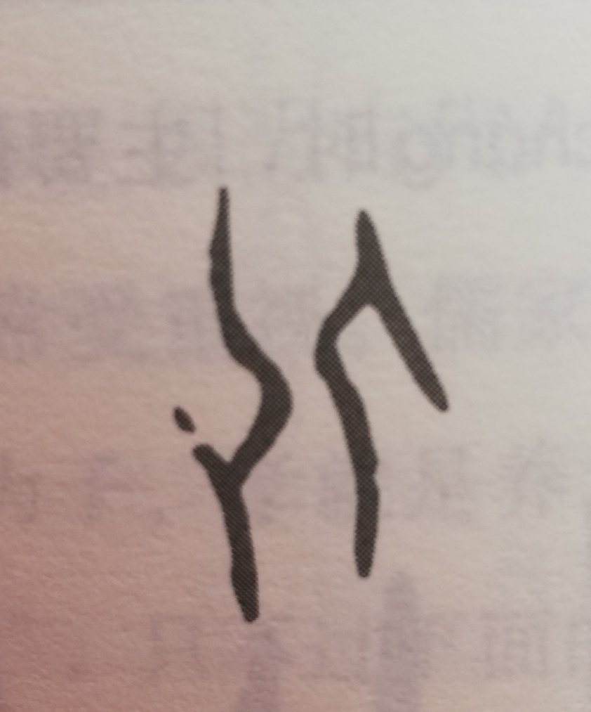 分析！张南子“雁过留声”