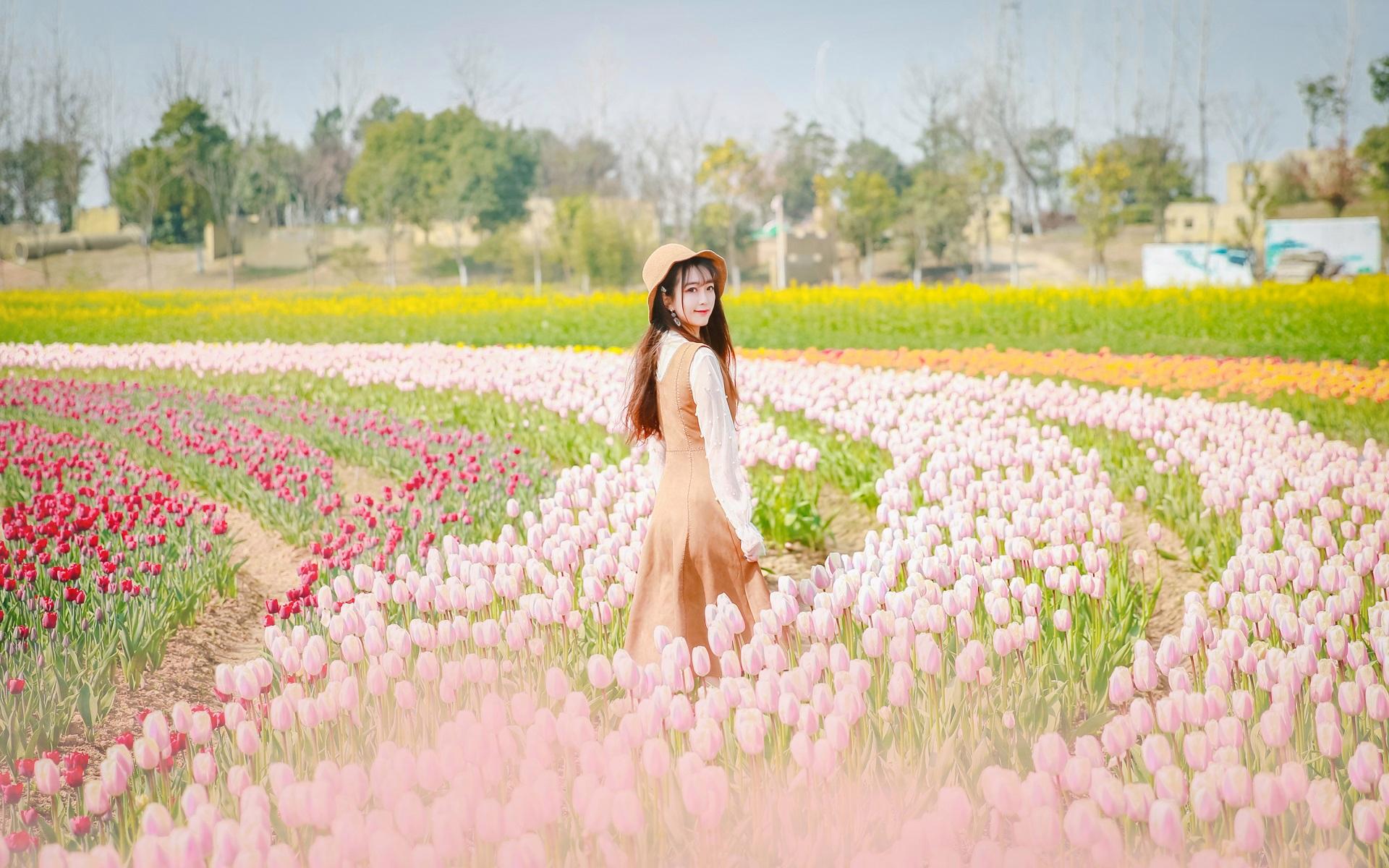 达人分享！南京有哪些区“纯一不杂”