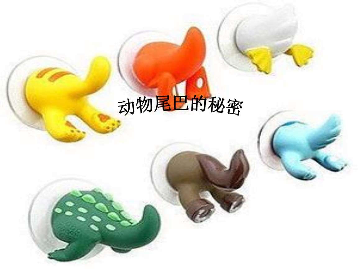 分析！动物的尾巴像什么