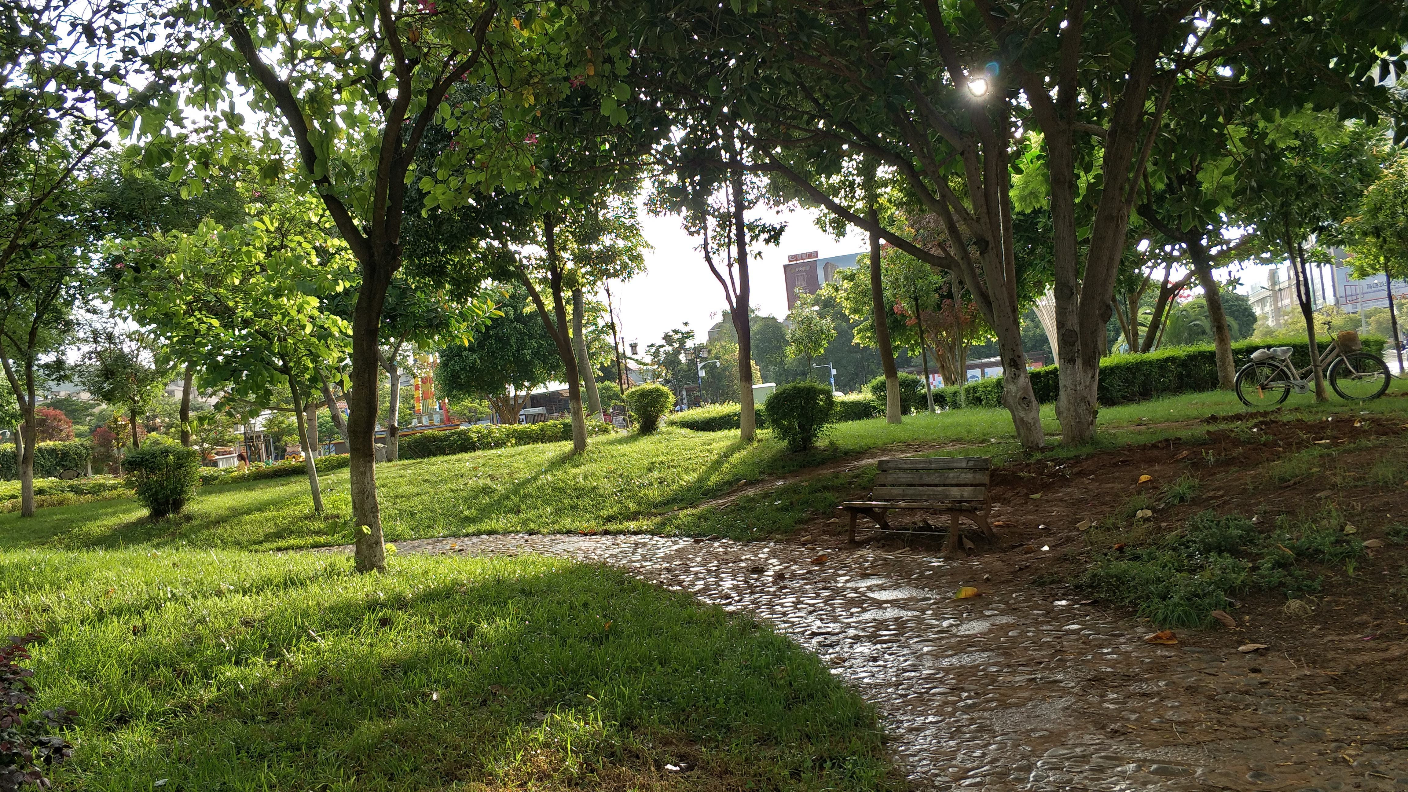达人分享！夏季雨后蛙声一片“高情逸态”