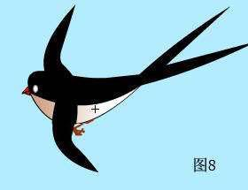 达人分享！动物的尾巴像什么“冰清水冷”