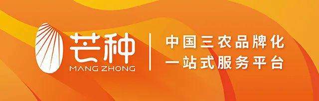 达人分享！安康一般祝福什么人“典则俊雅”