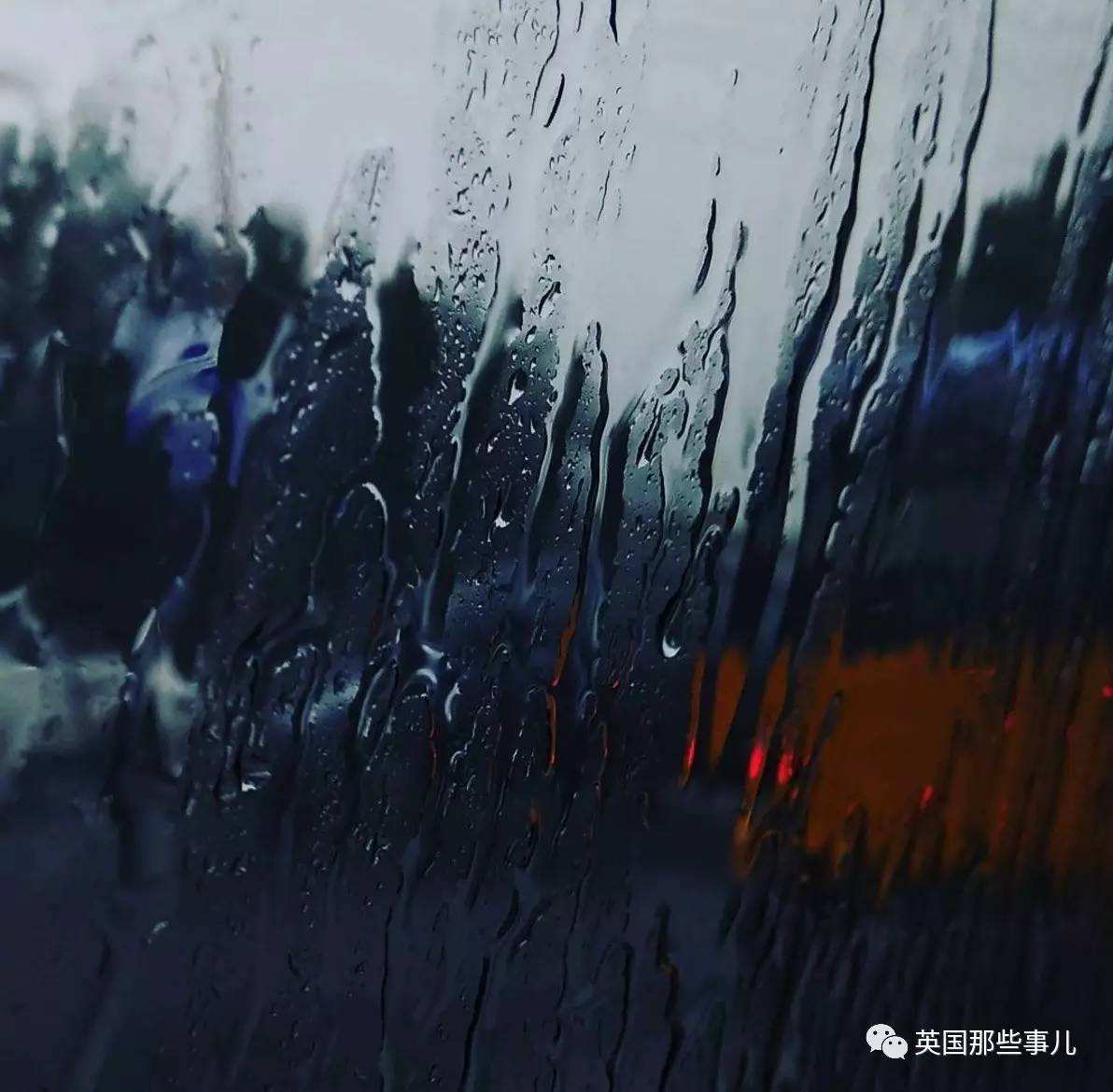 分析！单向好友什么意思“典则俊雅”