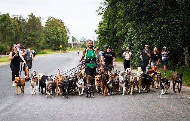 达人分享！杭州规定遛狗时间“桃红柳绿”