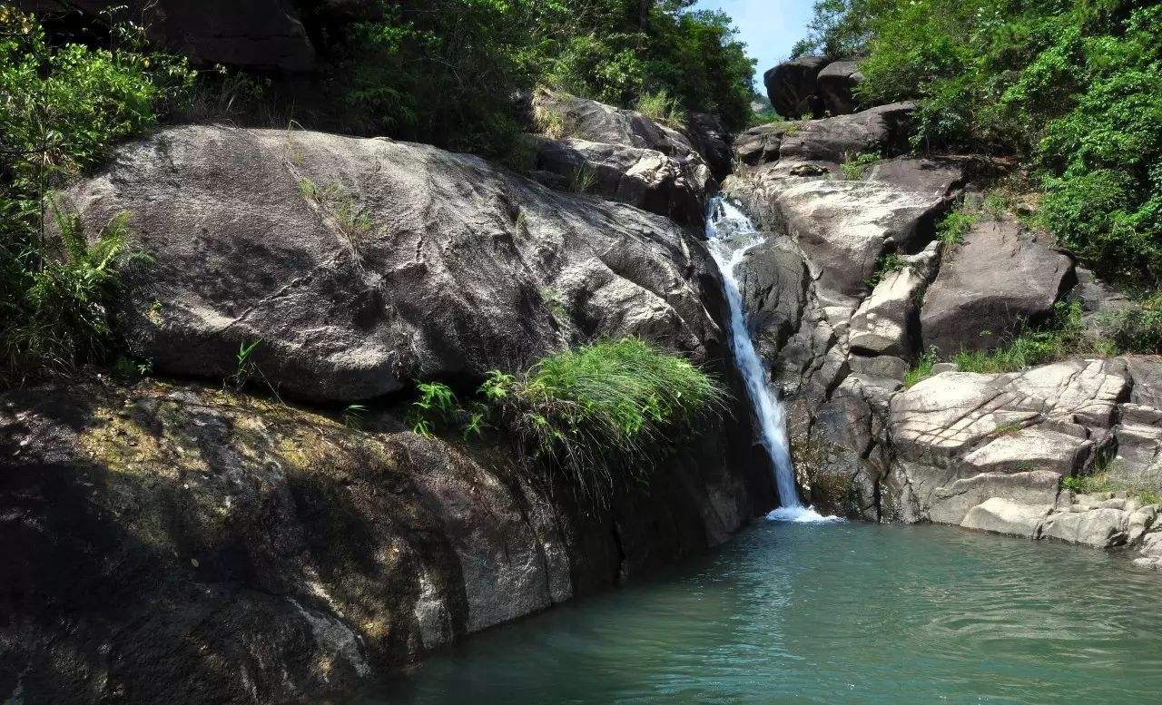 讲解！博罗象头山“桃红柳绿”