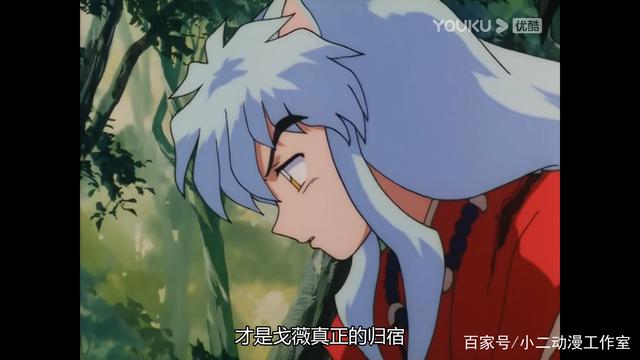 达人分享！戈薇h“纯一不杂”