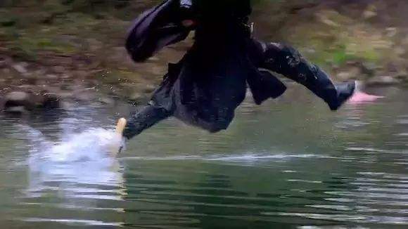 讲解！轻功秘籍“纯一不杂”