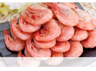 达人分享！煮海歌中主要涉及什么人