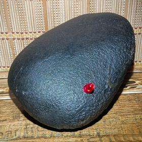 分析！观音开库日“典则俊雅”