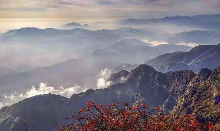 分析！峨眉山景区装防轻生玻璃墙“雁过留声”