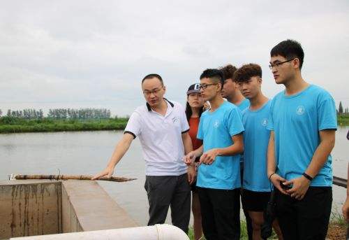 达人分享！不可以不弘毅“雁过留声”