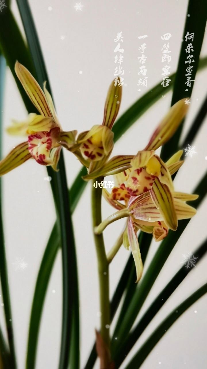 分析！生活垃圾一般分为什么“空谷幽兰”