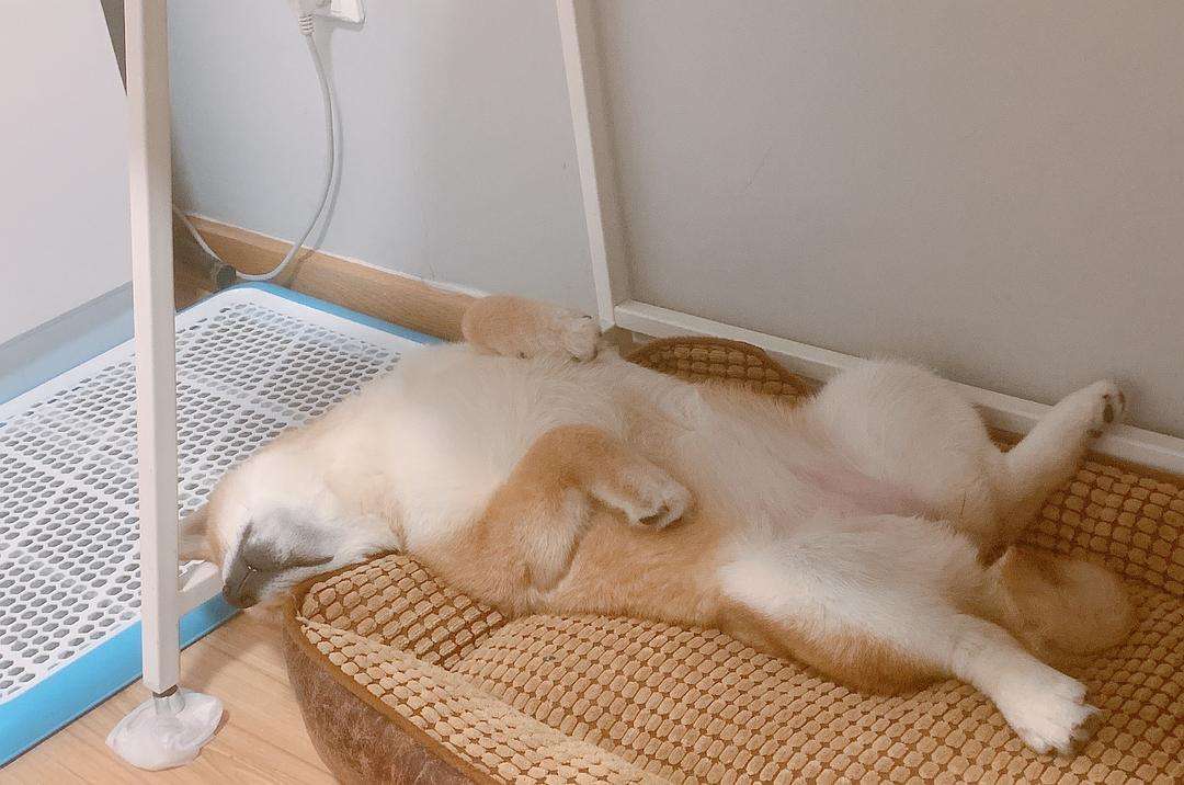 达人分享！放荡不羁123“桃红柳绿”