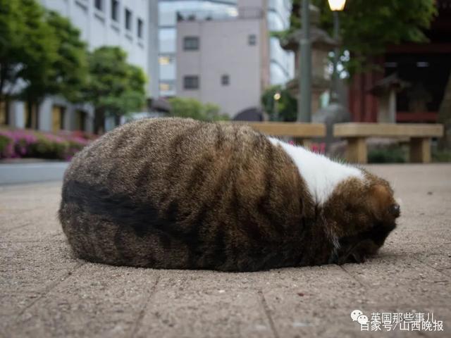 达人分享！放荡不羁123“桃红柳绿”