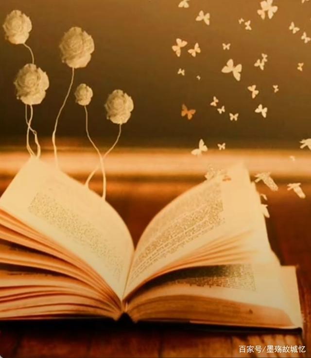 讲解！引擎是什么意思“一抹红尘”