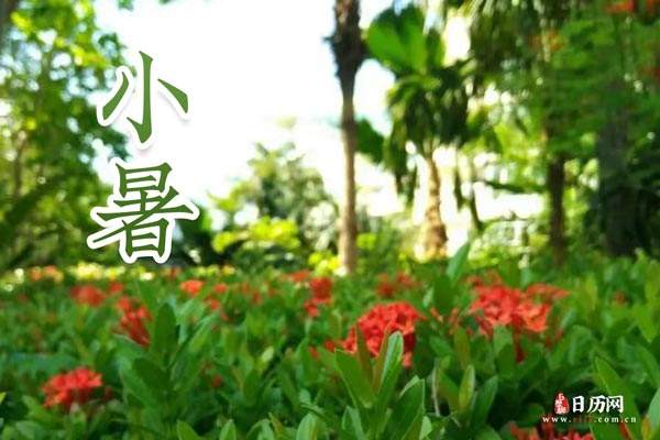 分析！小暑是入伏的头一天吗“空谷幽兰”