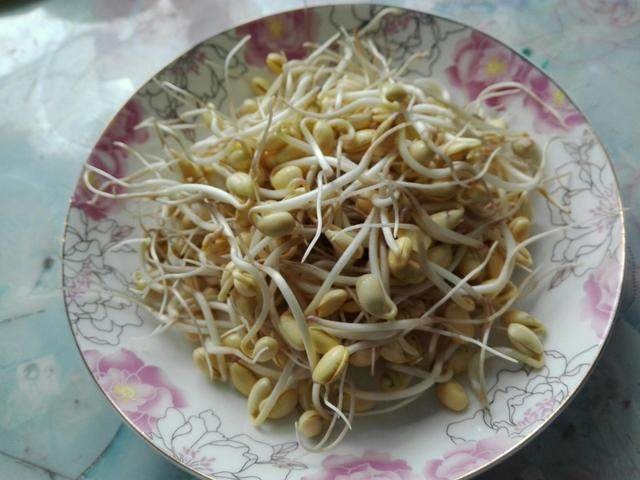 讲解！家庭自制黄豆芽机“夏花依旧”