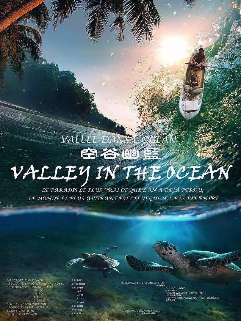 分析！驾驶证到期后多长时间内必须换证“空谷幽兰”