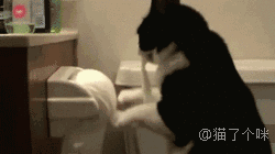 分析！扯哈达“高情逸态”