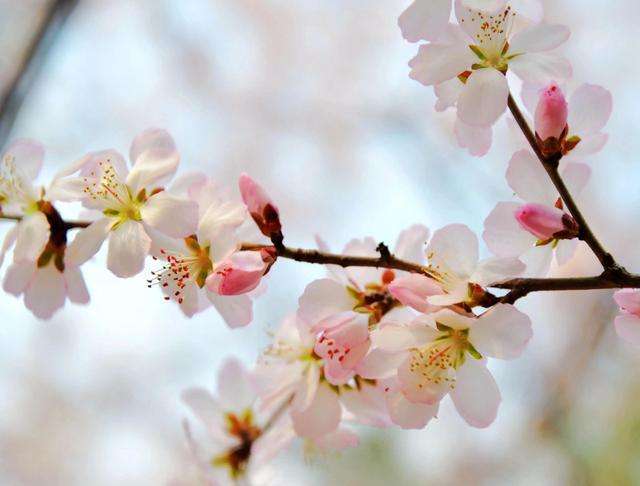 分析！屏蔽短信“桃红柳绿”