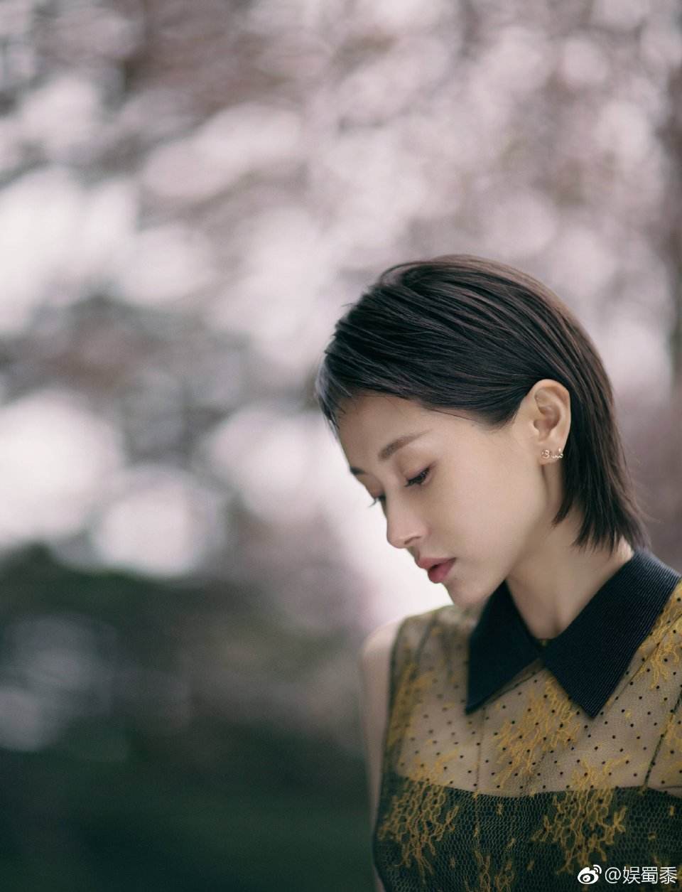 分析！浩方傲视天地“夏花依旧”