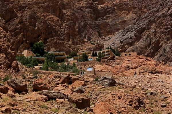 达人分享！四面楚歌的重要人物“高情逸态”