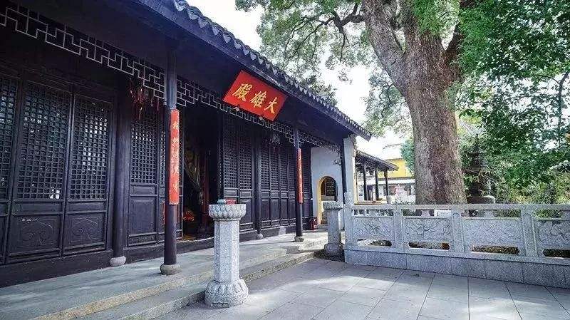 详情！冬天蟠龙卧“夏花依旧”