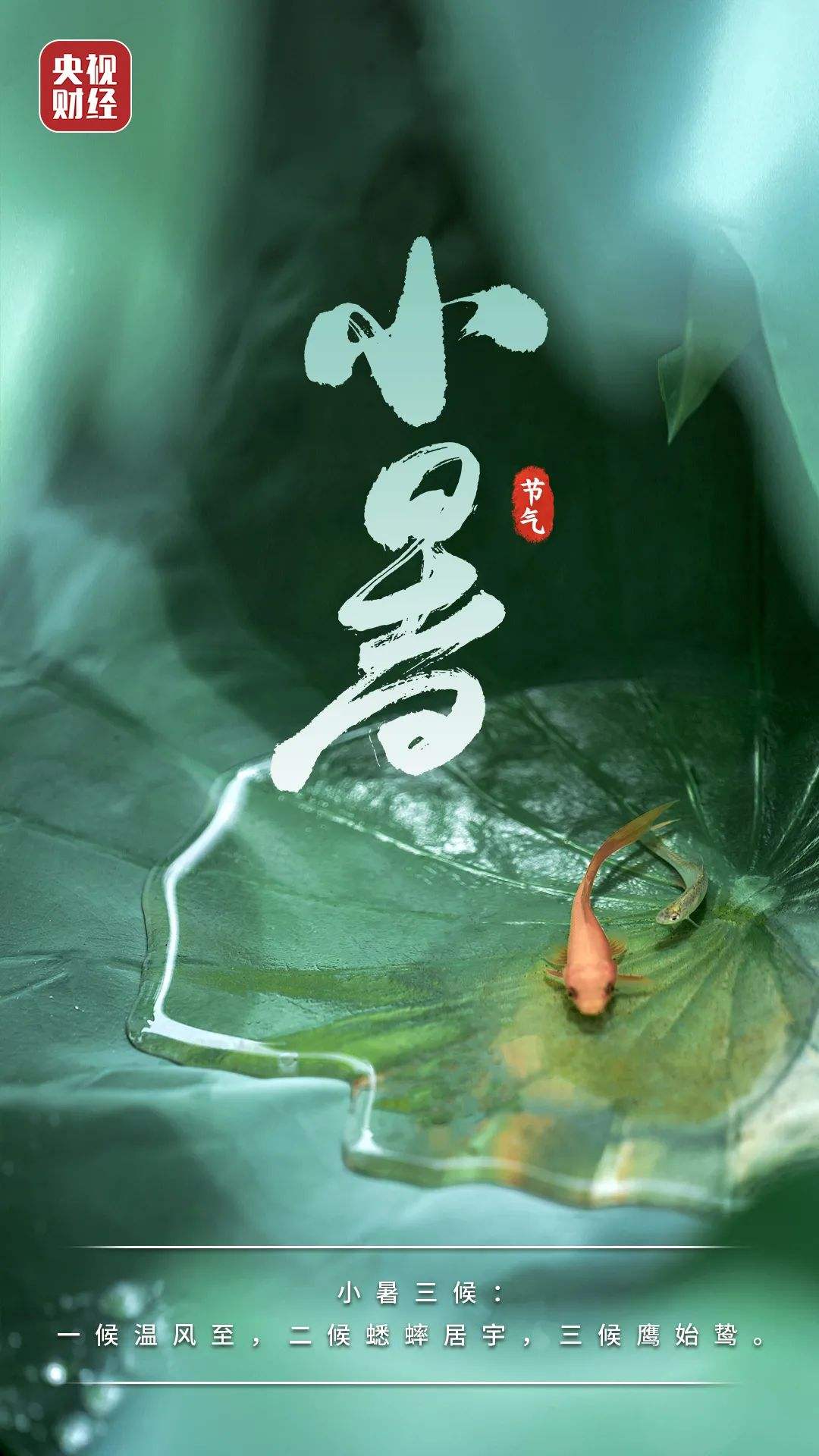 讲解！小暑是入伏的头一天吗“空谷幽兰”