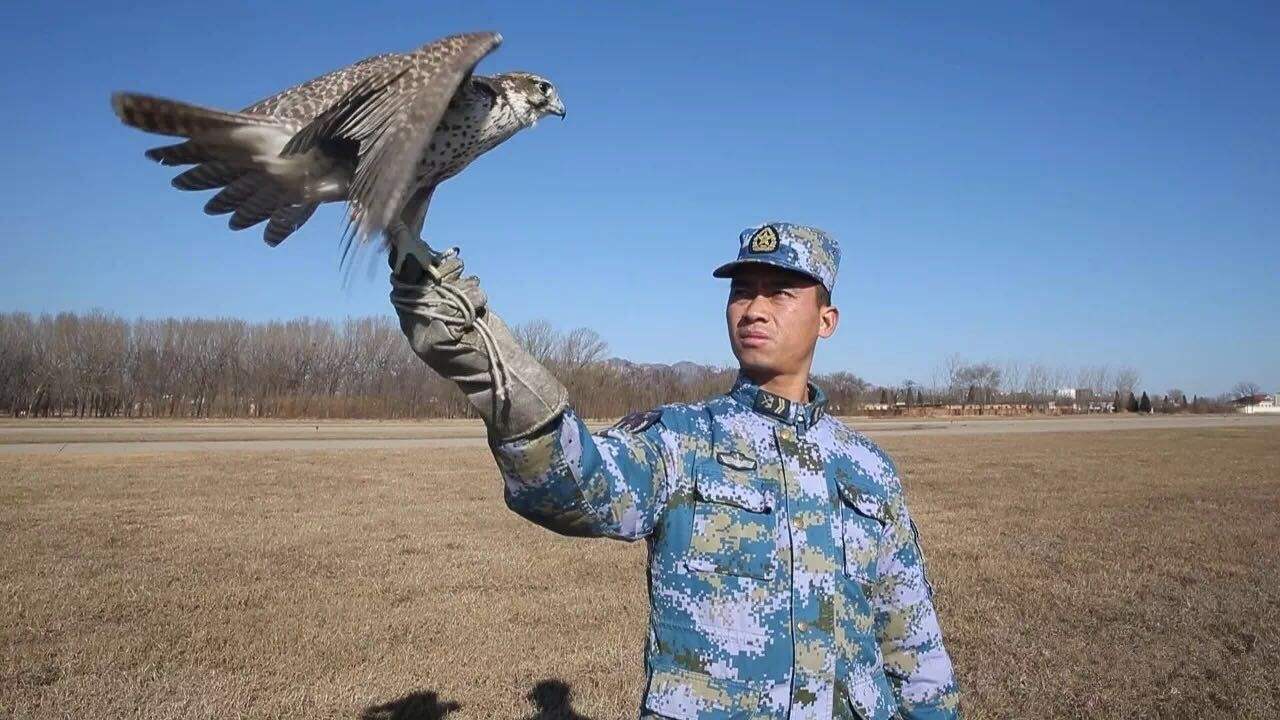 达人分享！什么二月春风似剪刀“典则俊雅”