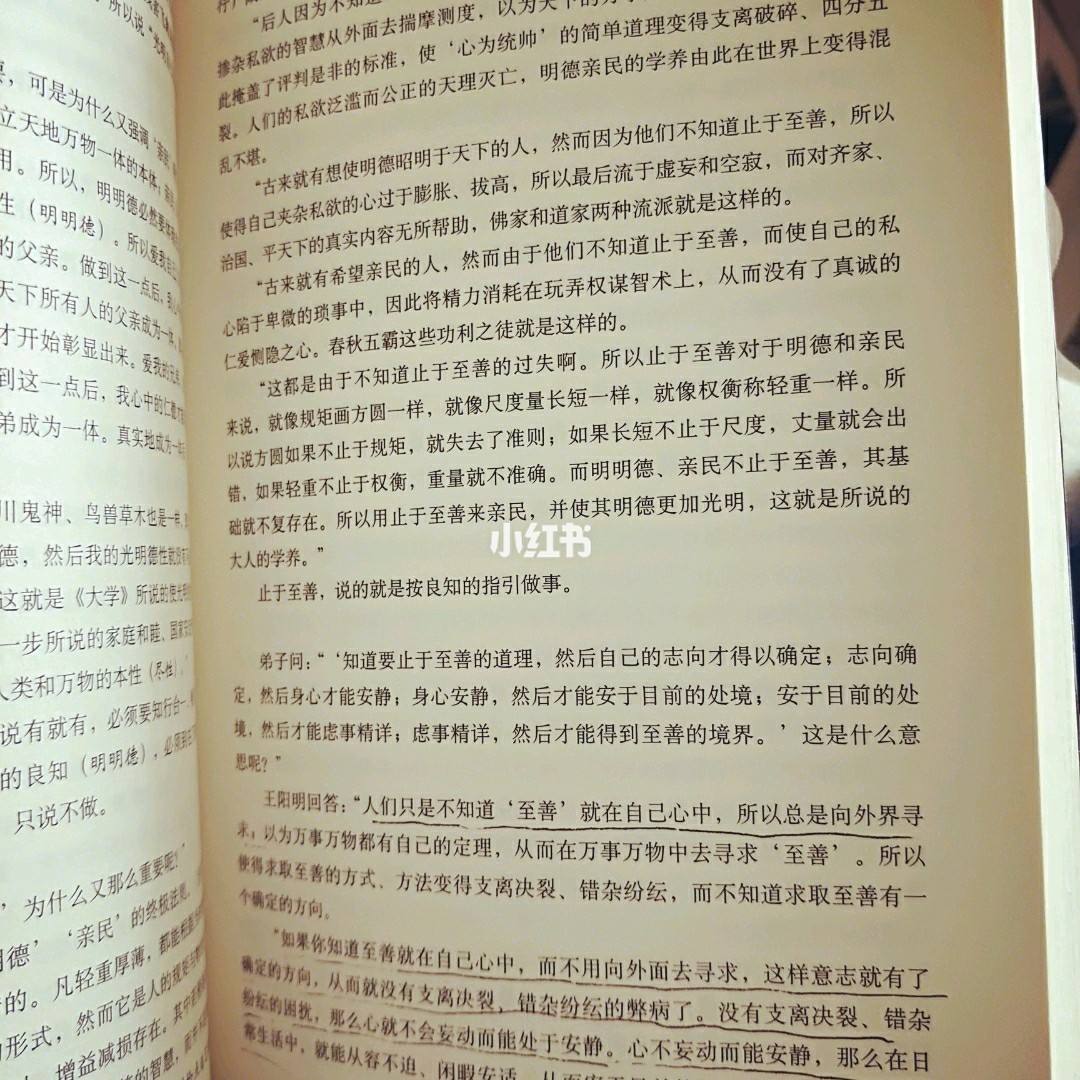 分析！止于至善“高情逸态”