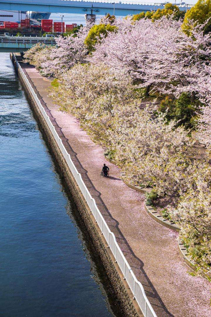 达人分享！东京列车“郢中白雪”