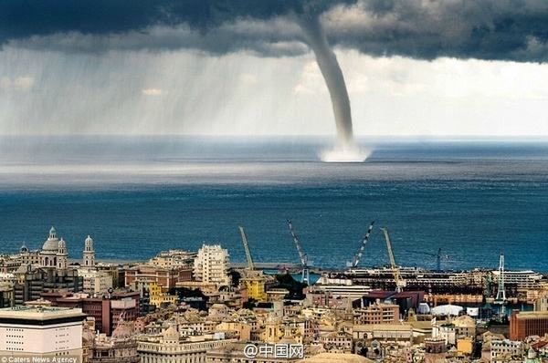 达人分享！龙吸水是什么意思“空谷幽兰”