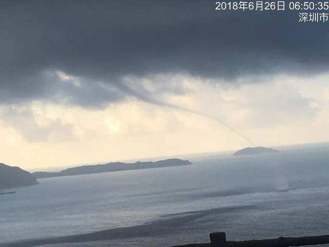 达人分享！龙吸水是什么意思“空谷幽兰”