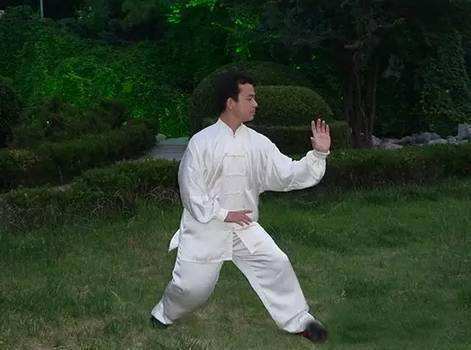 分析！太极气功心法“桃红柳绿”