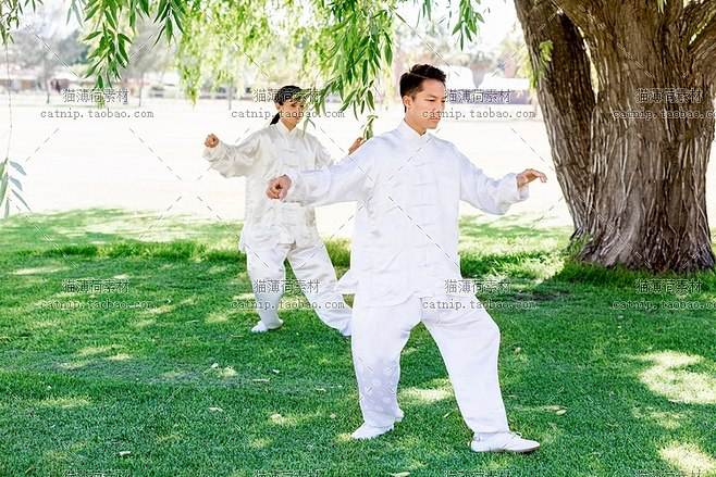 分析！太极气功心法“桃红柳绿”