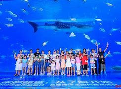 讲解！黑客群“冰清水冷”