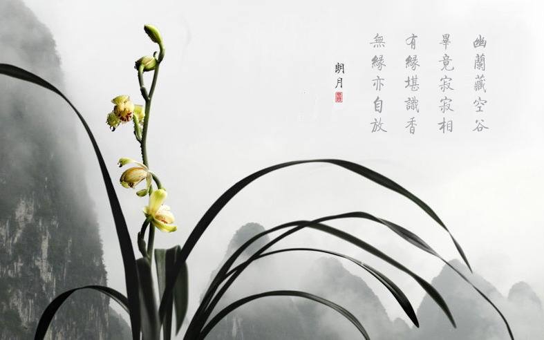 讲解！8开“空谷幽兰”