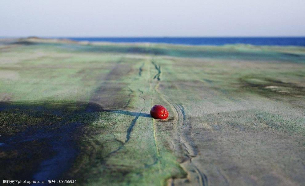 达人分享!枣树图片“一抹红尘” 达人分享!枣树图片“一抹红尘”