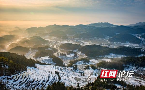 达人分享！紫鸢羲沅苏芷“桃红柳绿”